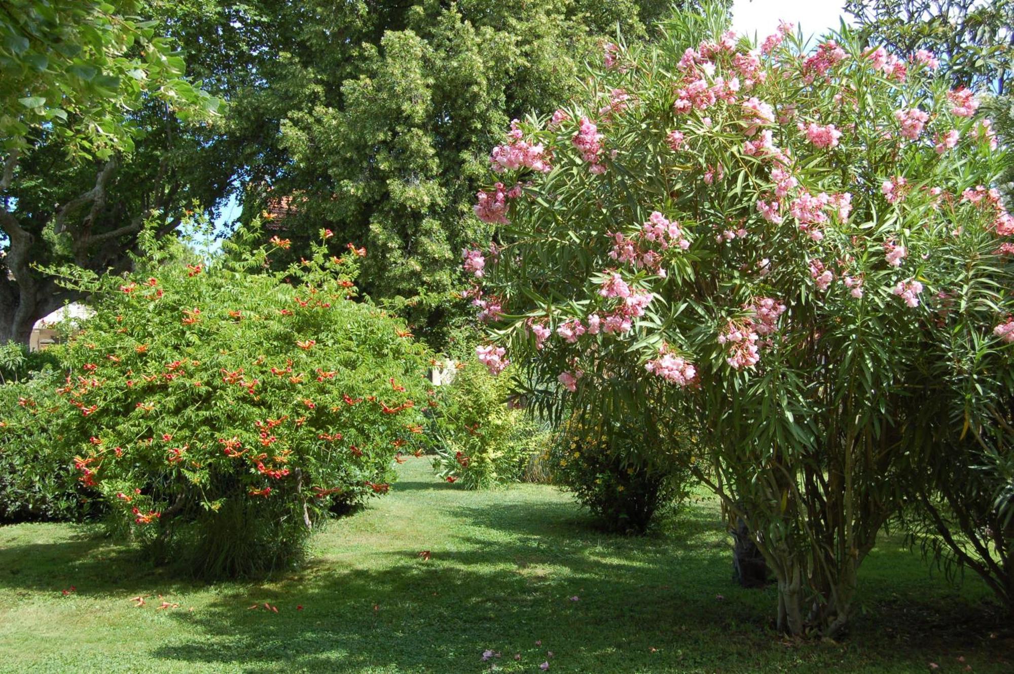 Le Mas Ferrand Bed & Breakfast Graveson Exterior photo