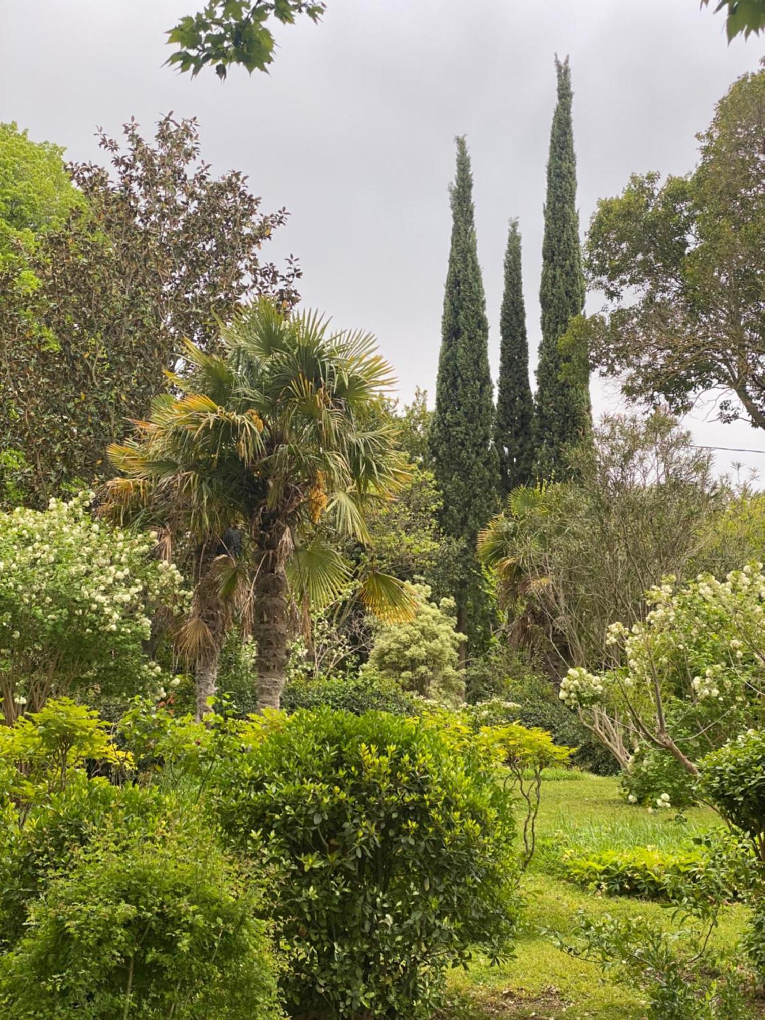 Le Mas Ferrand Graveson Exterior photo