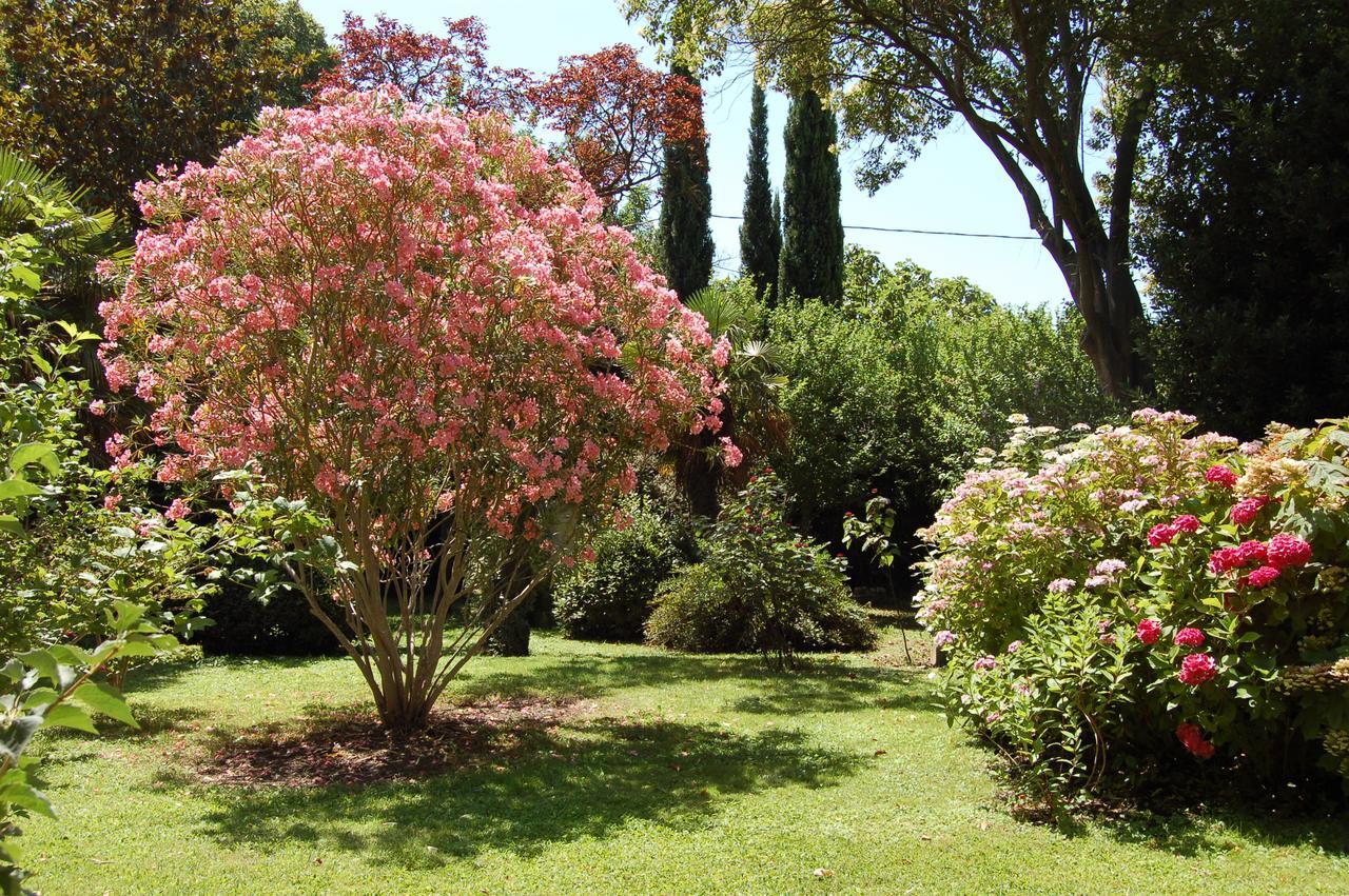 Le Mas Ferrand Graveson Exterior photo